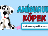 Amigurumi Köpek tarifi ve yapılışı